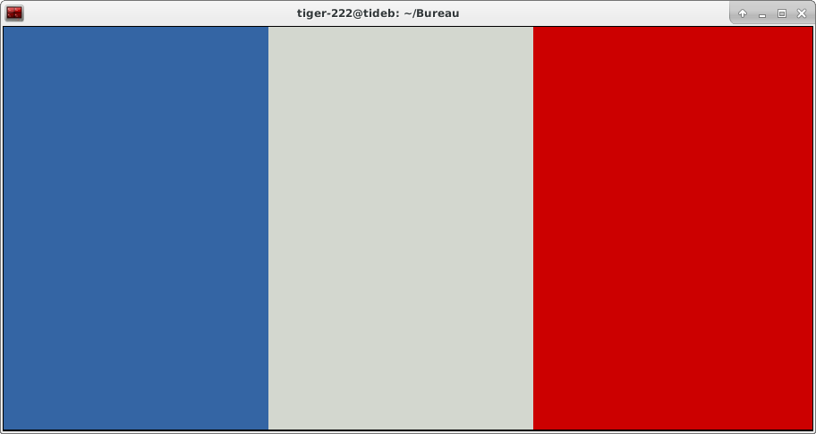 CLI drapeau français