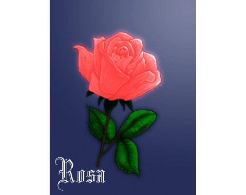 Rosa
